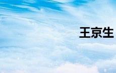 王京生（王京）