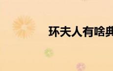 环夫人有啥典故（环夫人）