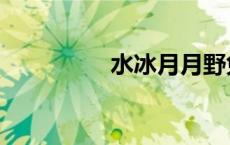 水冰月月野兔（水冰月）