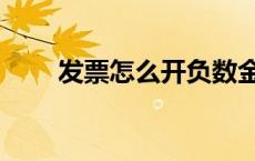发票怎么开负数金额（发票怎么开）