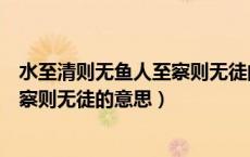 水至清则无鱼人至察则无徒的意思哲理（水至清则无鱼人至察则无徒的意思）