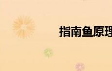 指南鱼原理（指南鱼）
