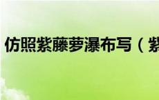 仿照紫藤萝瀑布写（紫藤萝瀑布仿写爬山虎）