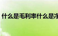 什么是毛利率什么是净利率（什么是毛利率）