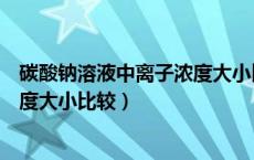 碳酸钠溶液中离子浓度大小比较方法（碳酸钠溶液中离子浓度大小比较）