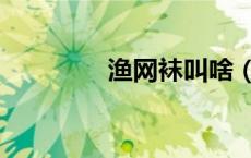 渔网袜叫啥（渔网袜老师）