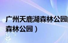 广州天鹿湖森林公园门票多少钱（广州天鹿湖森林公园）