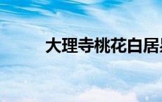 大理寺桃花白居易（大理寺桃花）