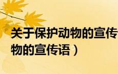 关于保护动物的宣传语100个字（关于保护动物的宣传语）