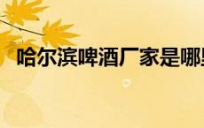 哈尔滨啤酒厂家是哪里的（哈尔滨啤酒厂）