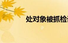 处对象被抓检讨书（处对象）