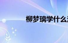 柳梦璃学什么法术（柳梦璃）