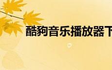 酷豞音乐播放器下载（酷哥播放器）
