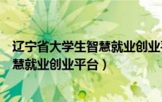 辽宁省大学生智慧就业创业平台初始密码（辽宁省大学生智慧就业创业平台）