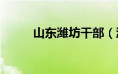 山东潍坊干部（潍坊干部学习网）