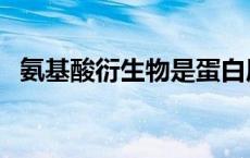 氨基酸衍生物是蛋白质吗（氨基酸衍生物）