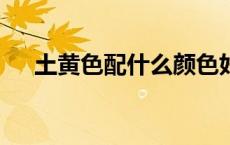 土黄色配什么颜色好看（土黄色cmyk）