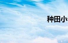 种田小说2345