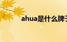 ahua是什么牌子监控机（ahu）