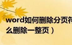 word如何删除分页符(下一页)（word文档怎么删除一整页）