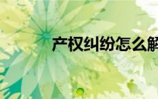产权纠纷怎么解决（产权纠纷）