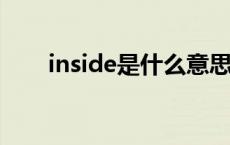 inside是什么意思（ins是什么意思）