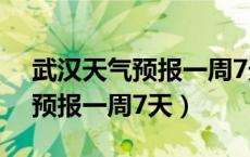 武汉天气预报一周7天10天15天（武汉天气预报一周7天）