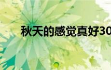 秋天的感觉真好300字（秋天的感觉）