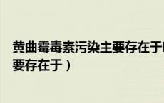 黄曲霉毒素污染主要存在于哪一食物中（黄曲霉毒素污染主要存在于）