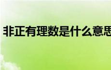 非正有理数是什么意思（有理数是什么意思）