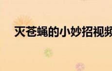 灭苍蝇的小妙招视频（灭苍蝇的小妙招）