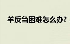 羊反刍困难怎么办?（羊反刍是什么意思）