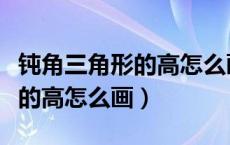 钝角三角形的高怎么画尺规作图（钝角三角形的高怎么画）