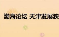 渤海论坛 天津发展狭隘的天津（渤海论坛）