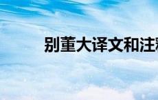 别董大译文和注释（别董大译文）