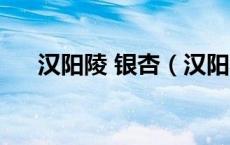 汉阳陵 银杏（汉阳陵银杏林要门票吗）