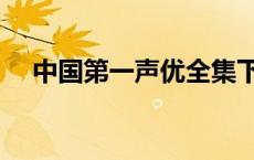 中国第一声优全集下载（中国第一声优）