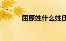 屈原姓什么姓氏（屈原姓什么）