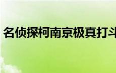 名侦探柯南京极真打斗（名侦探柯南京极真）