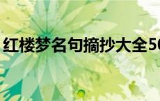 红楼梦名句摘抄大全50字（红楼梦名句摘抄）