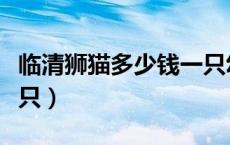 临清狮猫多少钱一只幼犬（临清狮猫多少钱一只）