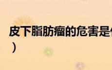 皮下脂肪瘤的危害是什么（皮下脂肪瘤的危害）