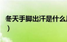 冬天手脚出汗是什么原因男性（冬天手脚出汗）
