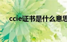 ccie证书是什么意思（ccie是什么证书）
