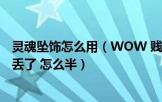 灵魂坠饰怎么用（WOW 贱民的指引 任务物品 灵魂坠饰 弄丢了 怎么半）