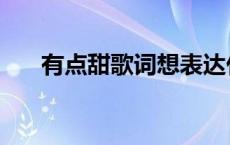 有点甜歌词想表达什么（有点甜歌词）