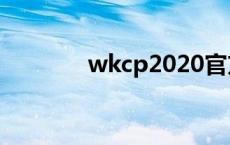 wkcp2020官方悟空（wkc）