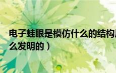 电子蛙眼是模仿什么的结构原理发明制造的（电子蛙眼是怎么发明的）