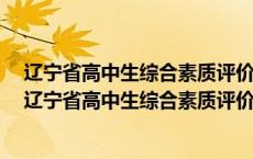 辽宁省高中生综合素质评价平台登录出现503字样进不去（辽宁省高中生综合素质评价平台登录）