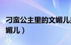刁蛮公主里的文媚儿是谁（刁蛮公主之我是文媚儿）